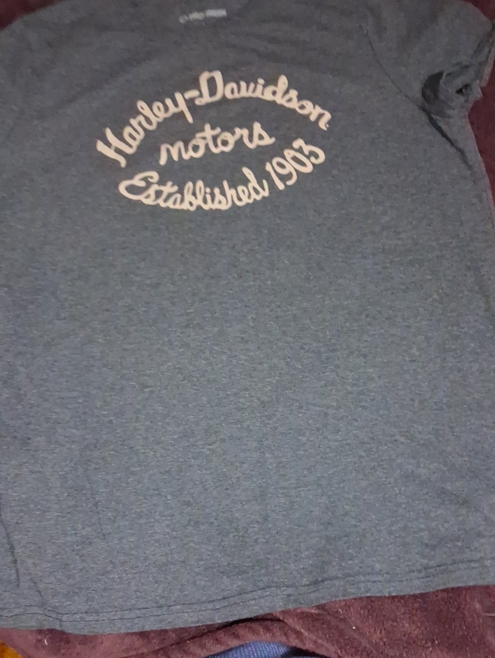 Harley-Davidson Grey Script Logo Tee Never Worn
